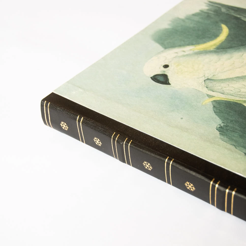 Handmade Journal - White Cockatoo A3 - Image 3