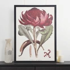 Decorative Poster - Waratah