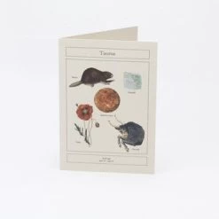 Card Horoscope - Taurus