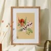 Print - Desert Pea