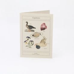 Card Horoscope - Capricorn