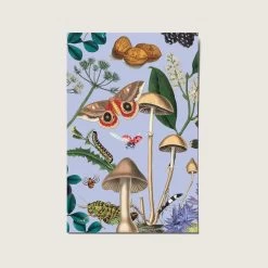 Postcard - Forest Floor