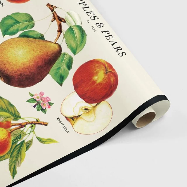 Decorative Poster - Apples And Pears - Image 2