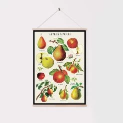Decorative Poster - Apples And Pears