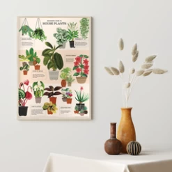 Decorative Poster - House Plants