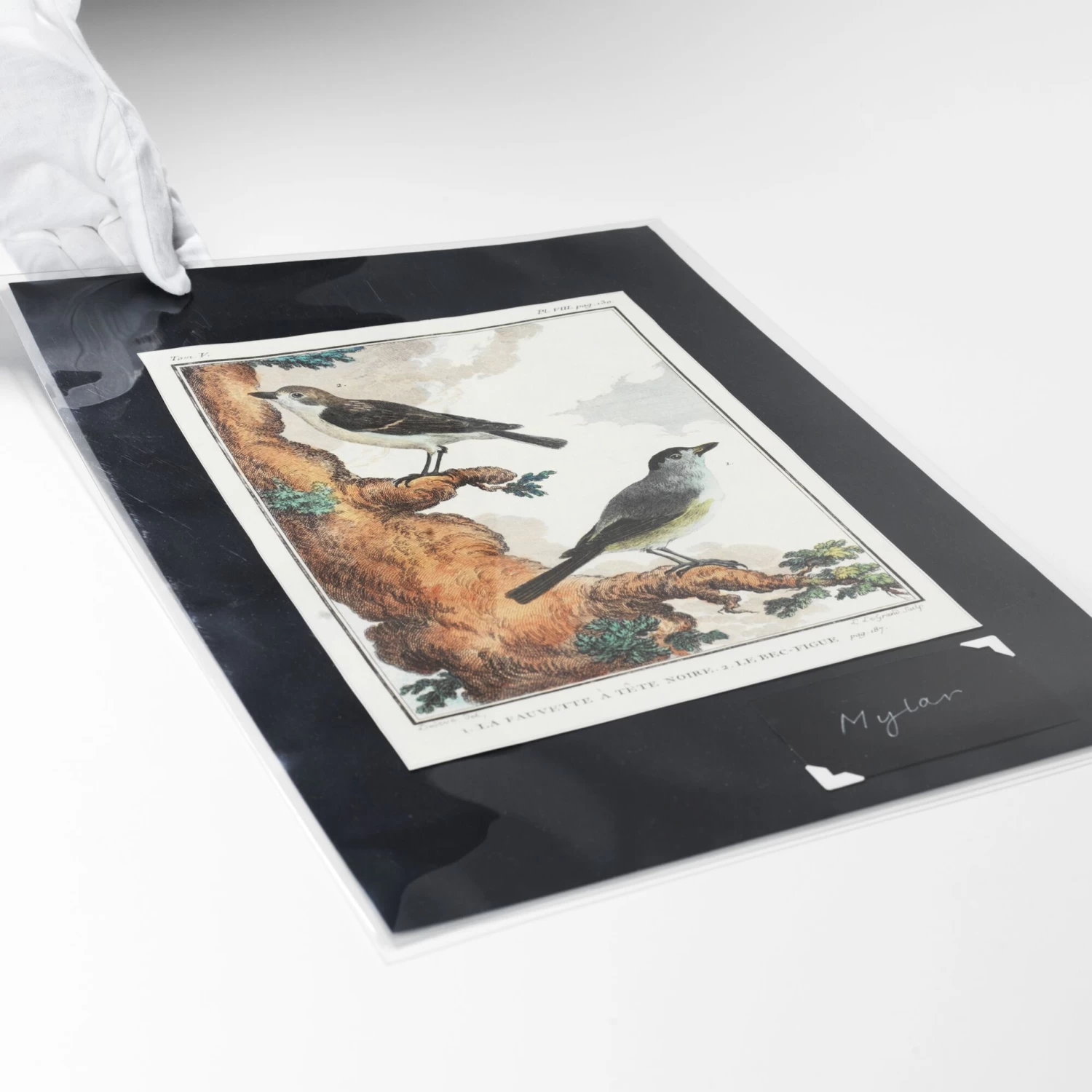 Mylar® Enclosures - A3 - Short Side Opening - 25 Pack - Image 2