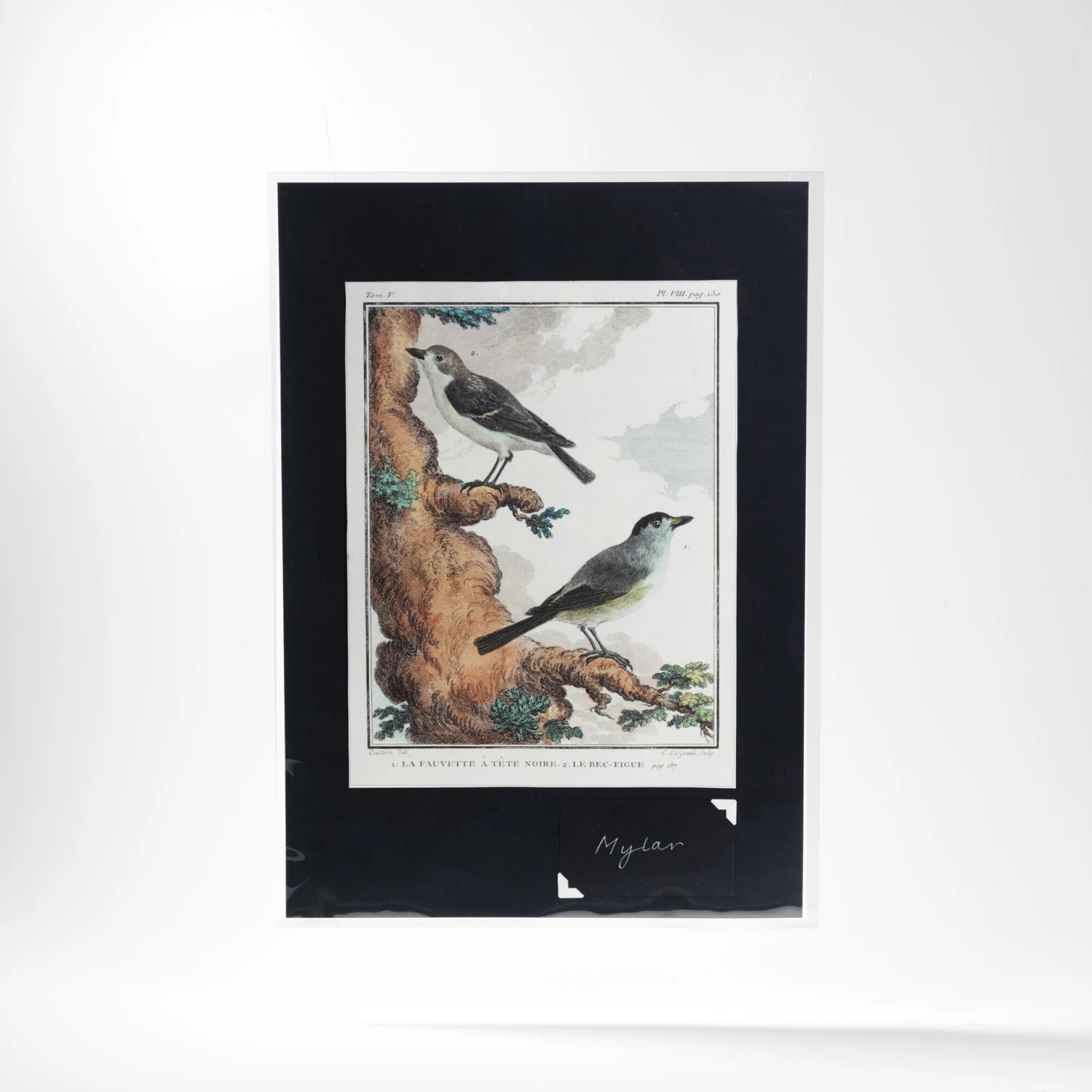 Mylar® Enclosures - A3 - Short Side Opening - 25 Pack - Image 3