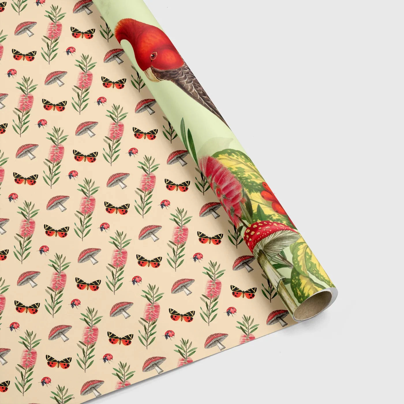 Decorative Wrap - Gang Gang Cockatoo - Image 2