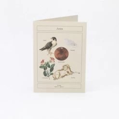 Card Horoscope - Aries