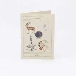 Card Horoscope - Gemini