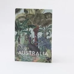 Postcard - Greetings From Australia, Daintree Rainforest