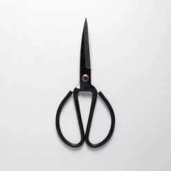 Scissors - Black